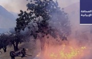 استمرار انتشار «كورونا» في البرلمان الإيراني..  وحرائق بصهاريج مكثّفات غاز و14 هكتارًا زراعيًا