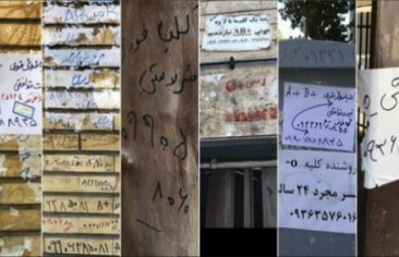 إعلانات بيع الكلى.. حين يعمّ الفقر